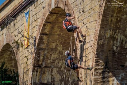 Jordi Santacana | Cedides