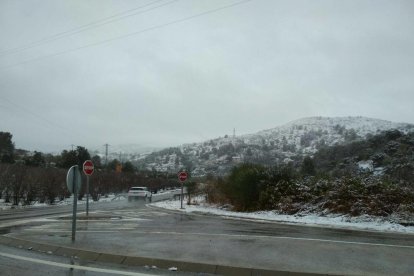 Fotos de la jornada d'avui durant el temporal de neu i fred.