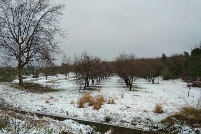 Fotos de la jornada d'avui durant el temporal de neu i fred.
