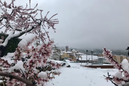 Fotos de la jornada d'avui durant el temporal de neu i fred.