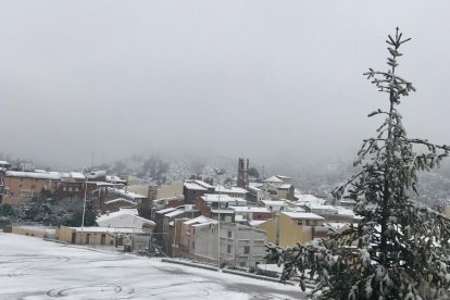 Fotos de la jornada d'avui durant el temporal de neu i fred.