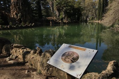 Vicente M. Izquierdo