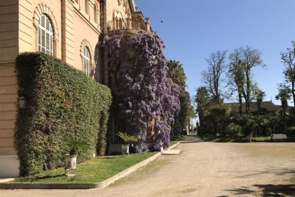 Vicente M. Izquierdo