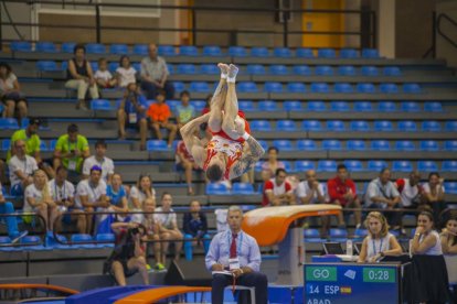 Finals gimnàstica artística