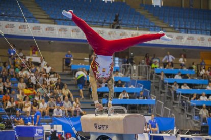 Finals gimnàstica artística
