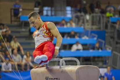 Finals gimnàstica artística