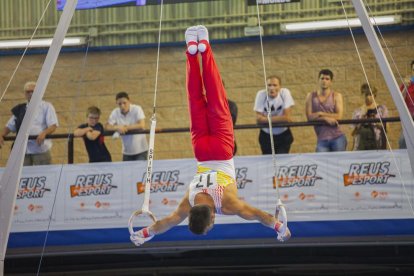 Finals gimnàstica artística