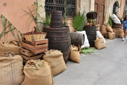 Anna F - Ajuntament de Torredembarra