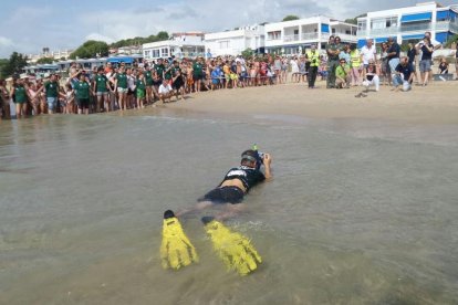 Alliberen a Tarragona tres tortugues babaues que van néixer a la platja Llarga fa gairebé dos anys