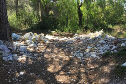 L'Ajuntament identifica la persona que va llançar deixalles al Francolí