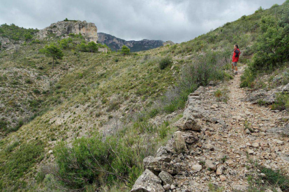 GEPEC pide que se anule la construcción de dos pistas forestales en la Serra de Cardó