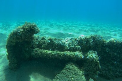 Dos submarinistas encuentran un barco hundido el año 1937 delante de Altafulla