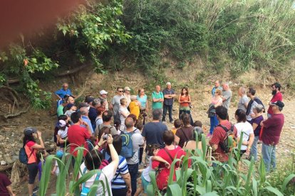 La Canonja celebra el Dia Mundial del Medi Ambient amb les jornades Ecoverd