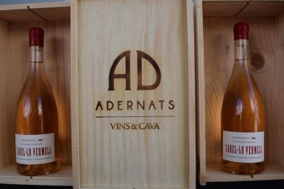 El nou vi cent per cent tarragoní