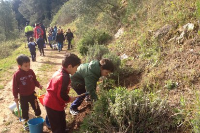 Els alumnes de Vandellòs han celebrat el Dia de l'Arbre