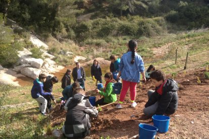 Els alumnes de Vandellòs han celebrat el Dia de l'Arbre