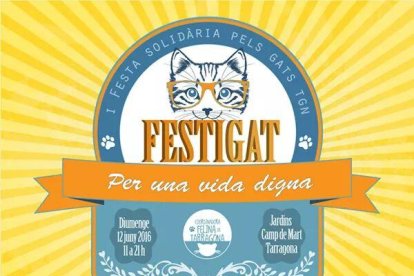 Los gatos, protagonistas en Tarragona con la primera fiesta solidaria FestiGat