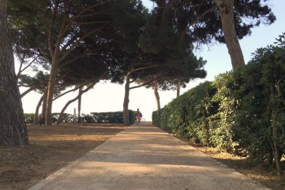 Nuevo pavimento en la calzada de las urbanizaciones playa de Vilafortuny, Proacosa y La Llosa