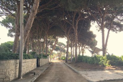 Nuevo pavimento en la calzada de las urbanizaciones playa de Vilafortuny, Proacosa y La Llosa