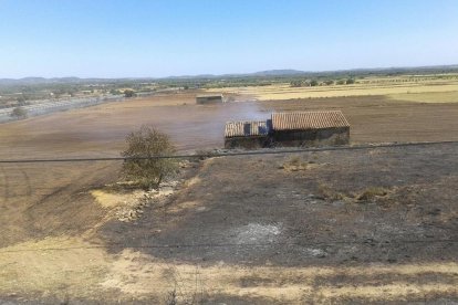 Declarados tres incendios de vegetación en el Pla de Santa Maria, Reus y Torredembarra