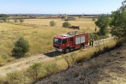 Declarados tres incendios de vegetación en el Pla de Santa Maria, Reus y Torredembarra