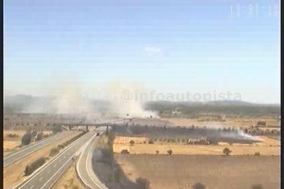 Declarado un incendio de matorrales en el Pla de Santa Maria