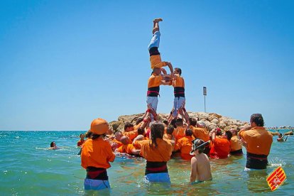 Els castells dels Bous de la Bisbal canvien de medi
