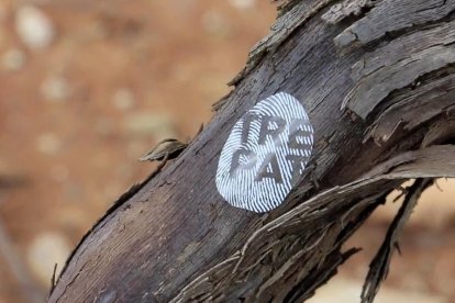 El trepat de la DO Conca es promociona amb un vídeo