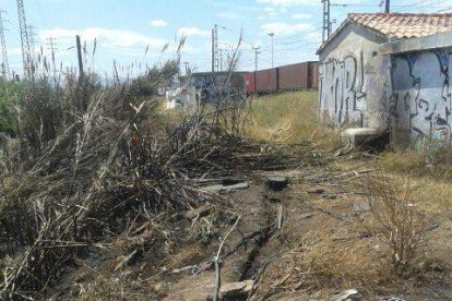 Un incendi en unes canyes a prop de les vies causa retards de mitja hora a Rodalies