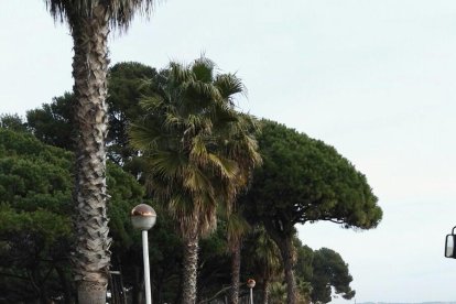 Comencen a netejar el passeig de Vilafortuny ple de sorra des del temporal