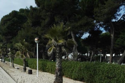 El passeig marítim de Vilafortuny continua ple de sorra i instransitable