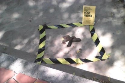 Els vendrellencs creuen que les tifes de gos serveixen d'adob i desconeixen que cal netejar les miccions dels animals amb aigua i vinagre