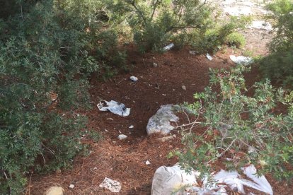 L'oposició denuncia la falta de manteniment de Cala Romana i Camp Clar