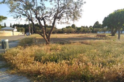 Veïns reclamen més neteja a un parc infantil de Coma-ruga