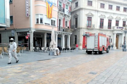 Una colmena de abejas acapara la atención de la plaza del Mercado