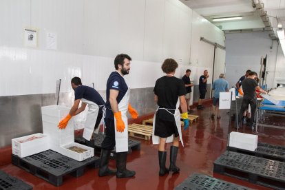 La Confraria de Cambrils torna a subhastar el peix després de 19 anys