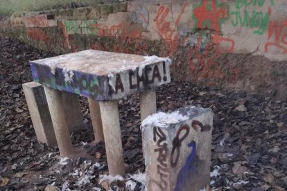 Encuentran los restos de dos gallinas decapitadas en un supuesto ritual de santería