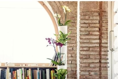 Un projecte de tarragoní entre els més finançats per Verkami