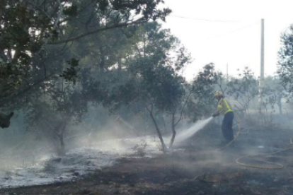 Dos incendios de vegetación queman en Rasquera y en l'Ametlla de Mar