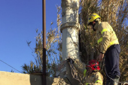 Rescaten un gos que havia caigut en un pou de 9 metres a la Canonja