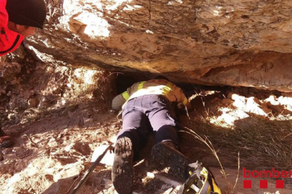 Bombers rescata un gos atrapat en un avenc al Priorat