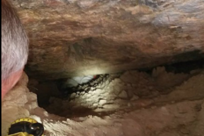 Bombers rescata un gos atrapat en un avenc al Priorat