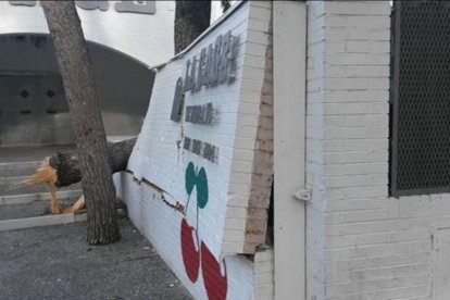 Un arbre destrossa el mur de la Cage en caure al mig de la terrassa