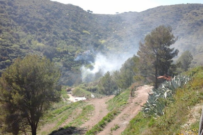 Sis dotacions de Bombers treballen per apagar un incendi a la Selva del Camp