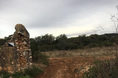 La Caminata de Llevant protestará contra la urbanización de la Budellera