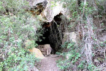 La pedrera romana de les Coves del  Llorito, desprotegida i abandonada