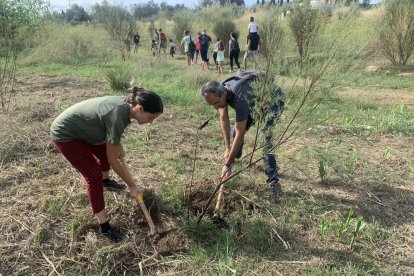 Desenes de persones participen a la 10a jornada 'Fem Francolí!'