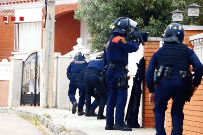 Desmantellen plantacions de marihuana a cases del Vendrell i Albinyana