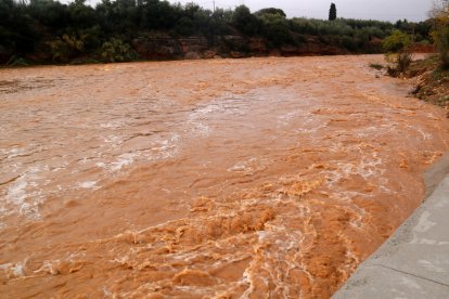 La tormenta deja destrozos, inundaciones y árboles caídos a su paso por el territorio