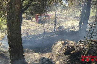 incendi bosc cornudella